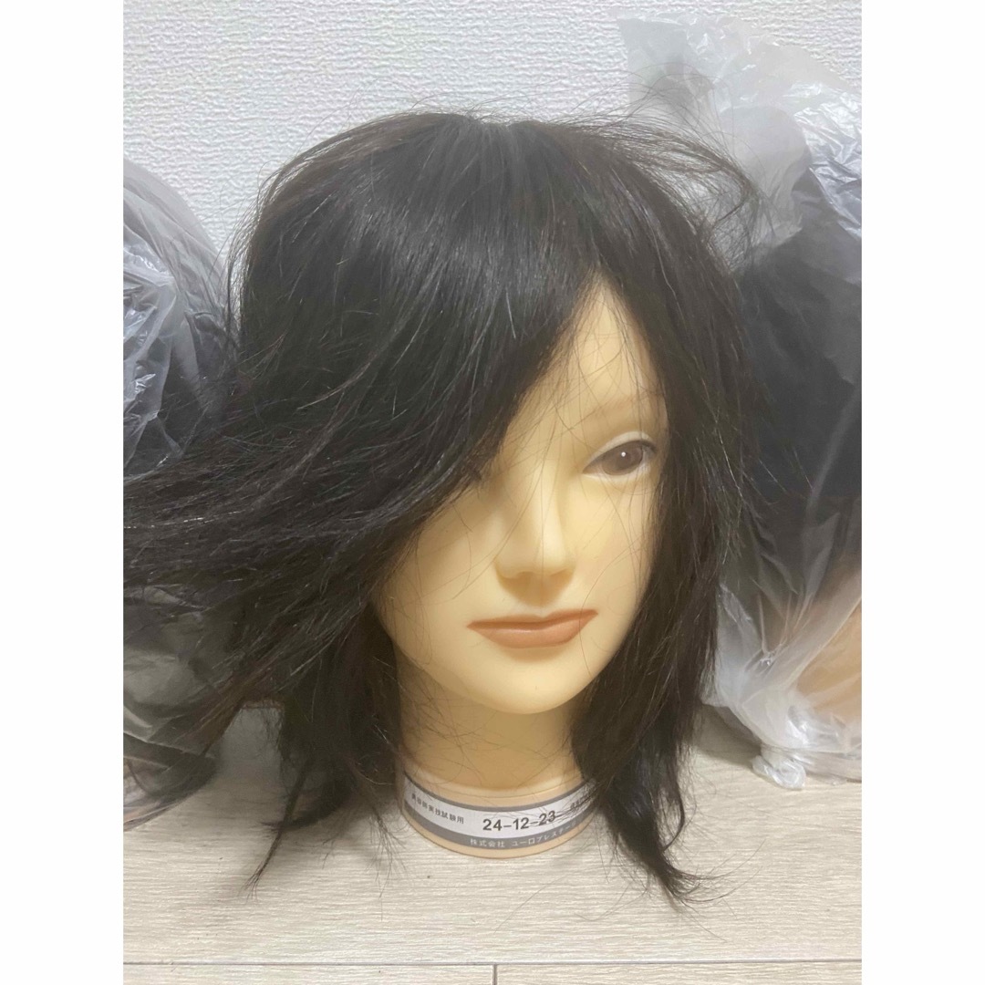 国家試験用カットウィッグ6体セット