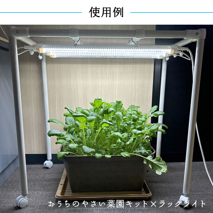 ラックライト 植物育成ライト おやさいライト付き - 水耕栽培専門店