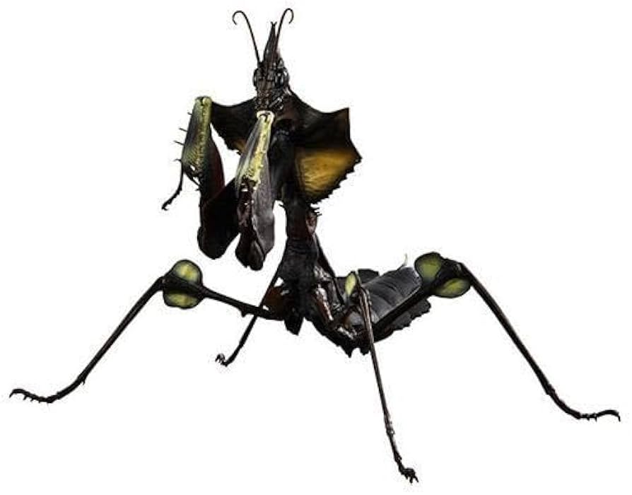 Amazon.co.jp: いきもの大図鑑アドバンス ニセハナマオウカマキリ 1齢