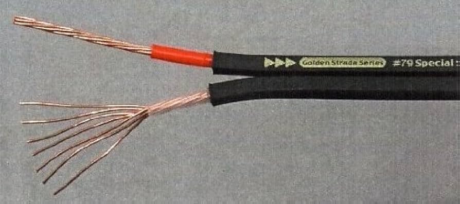 Amazon | ナノテック・システムズ SP#79 Special (1M) スピーカー