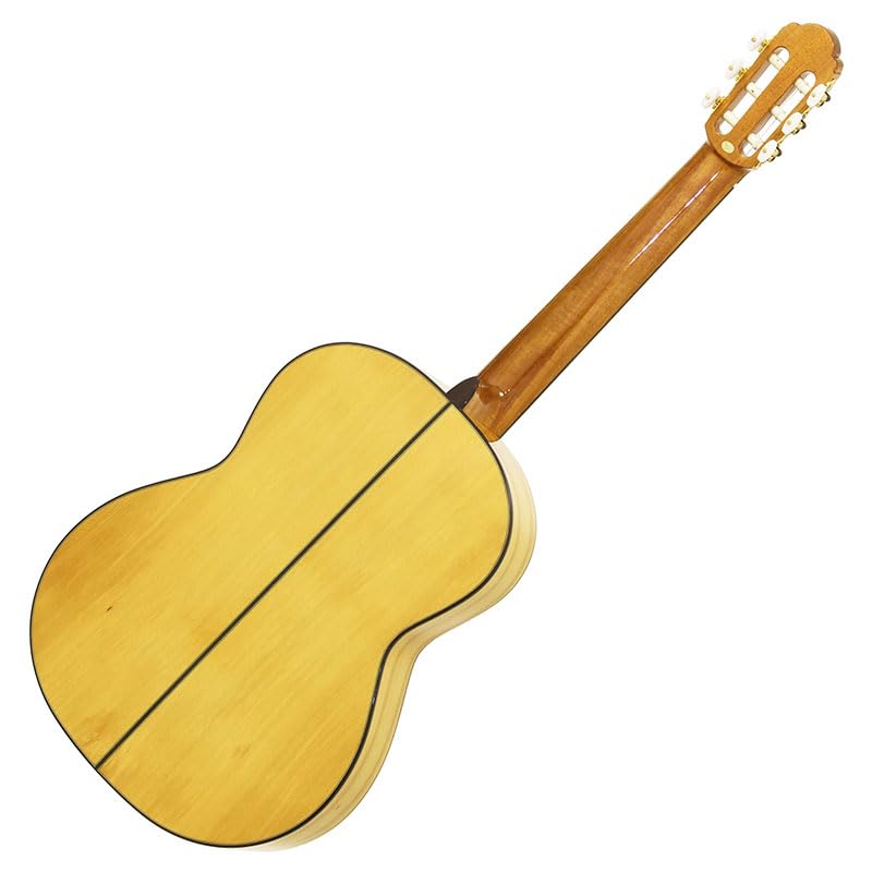 Amazon | ARIA アリア フラメンコギター ソフトケース付 A-100F