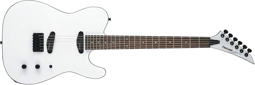 Amazon | フェルナンデス エレキギター TEJ-STD 2S '19 SW | エレキ