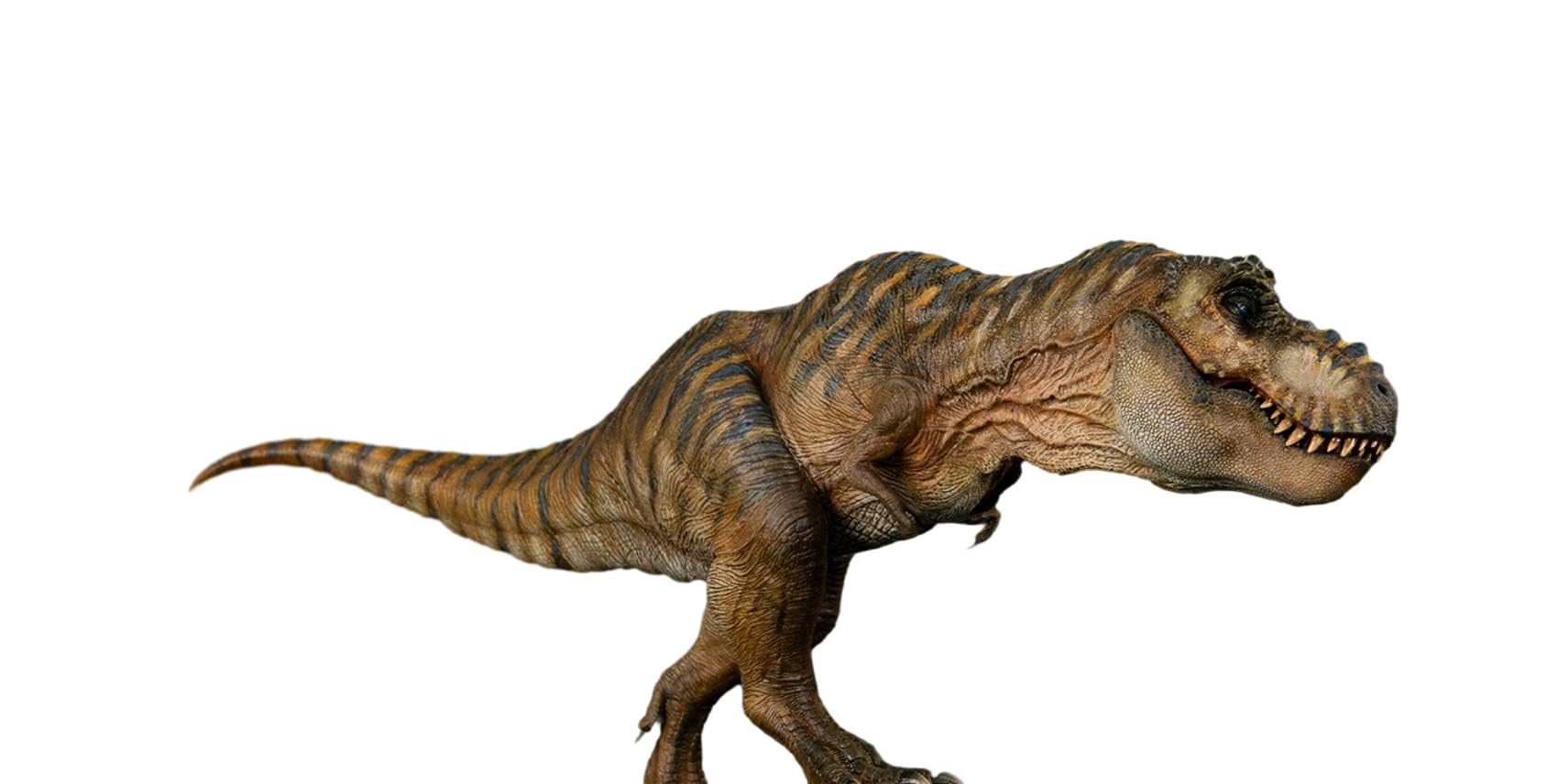 Amazon.co.jp: Nanmu 本心楠改 1/35 サイズ ティラノサウルス 大きい