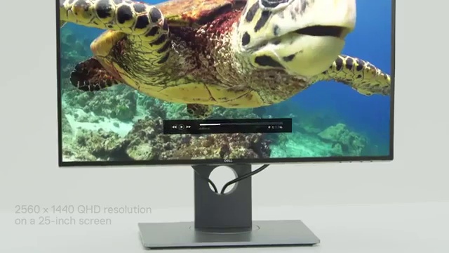 Amazon.com: Dell Ultra Sharp LED-Lit Monitor 25