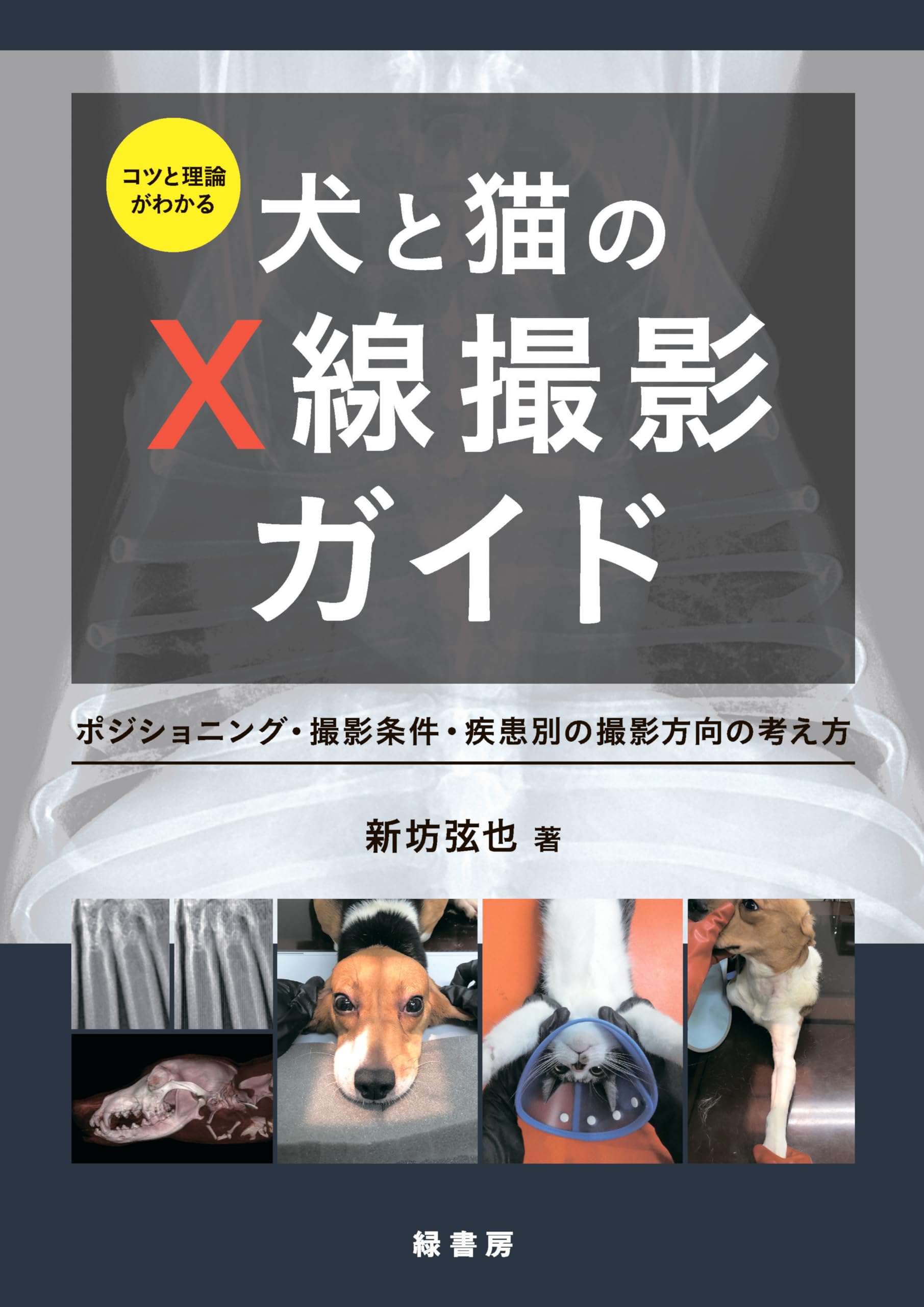 sanflo 犬と猫のCT読影入門 犬と猫のCT読影入門 (CT画像の読影に特化