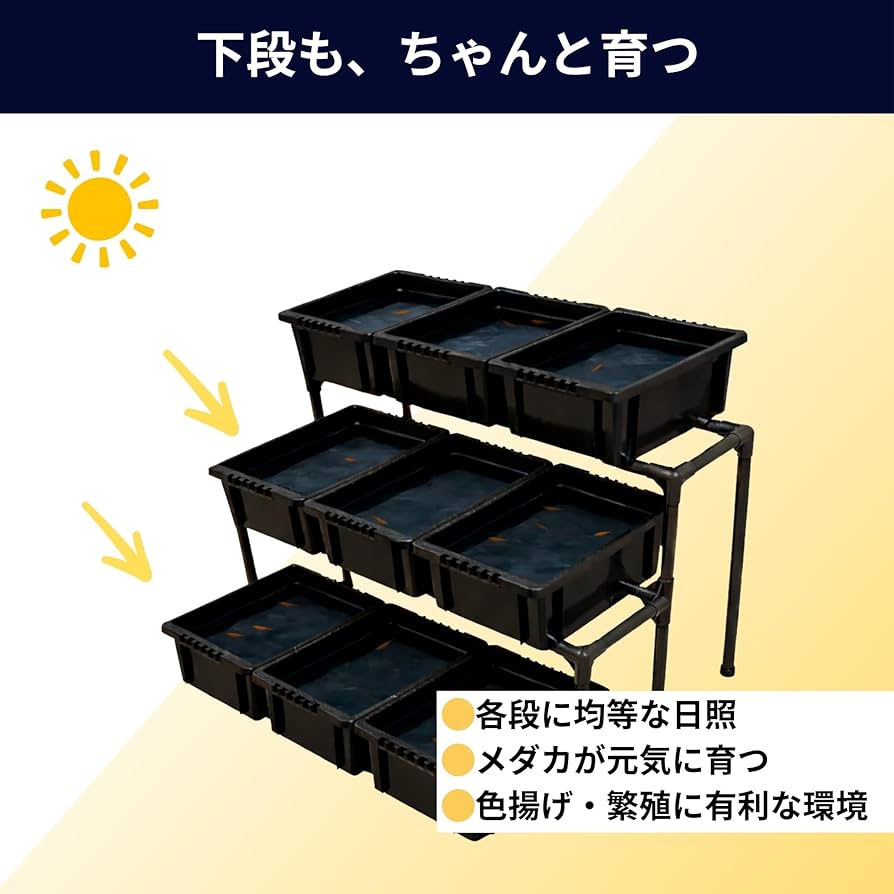 Amazon.co.jp: メダカ飼育ラック (NV BOX 13専用 2段タイプ) : ペット用品
