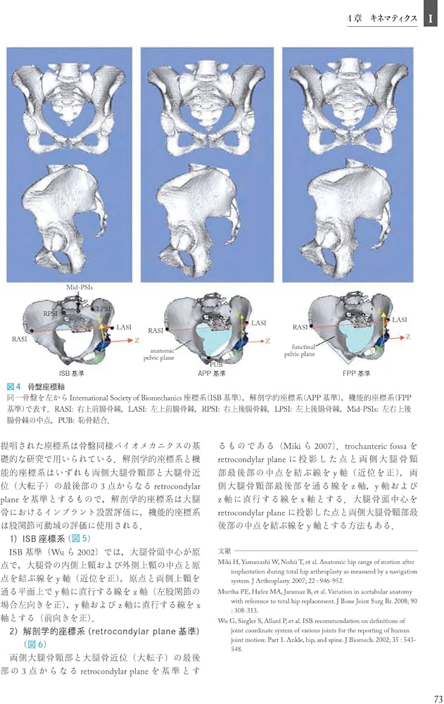 Amazon.co.jp: 股関節学 第2版 : 一般社団法人 日本股関節学会, 菅野