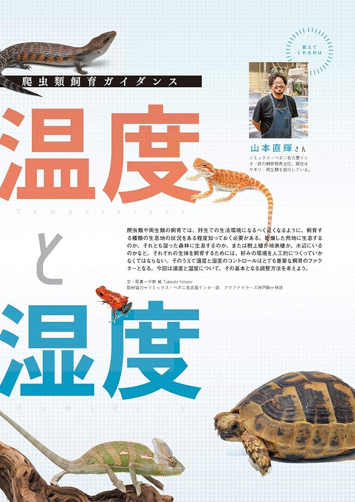 818NI4ftDsL._AC_UF1000,