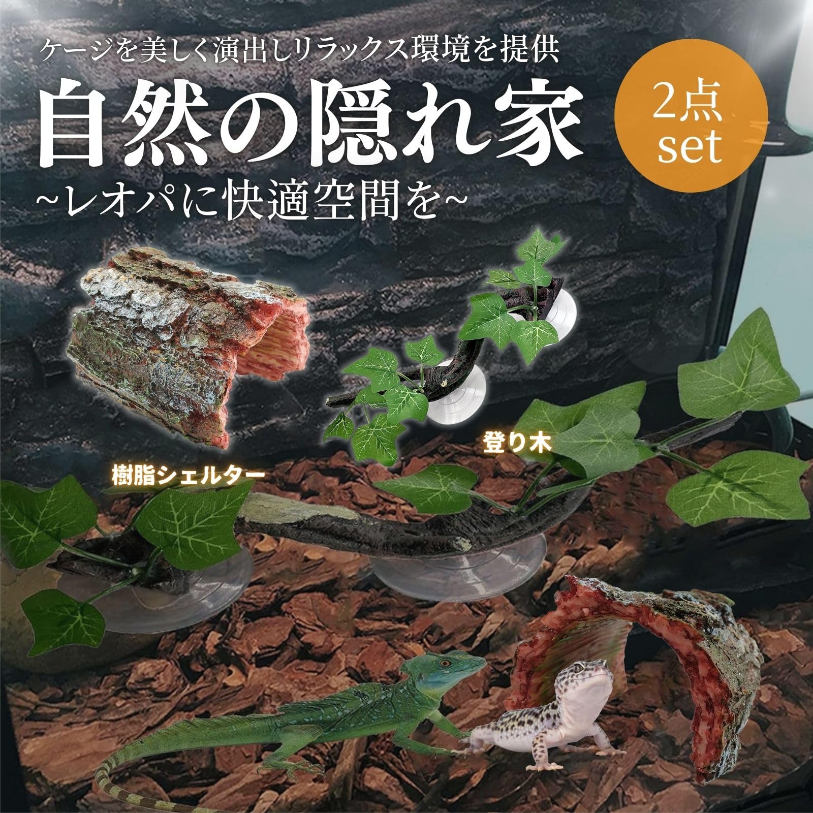 Amazon | Archnote 爬虫類 シェルター レオパ トカゲ カナヘビ ヤモリ