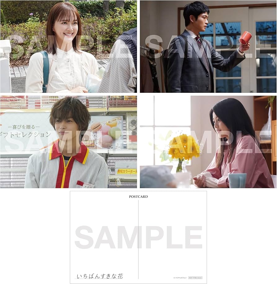 Amazon.co.jp: 【Amazon.co.jp限定】いちばんすきな花 -ディレクターズ