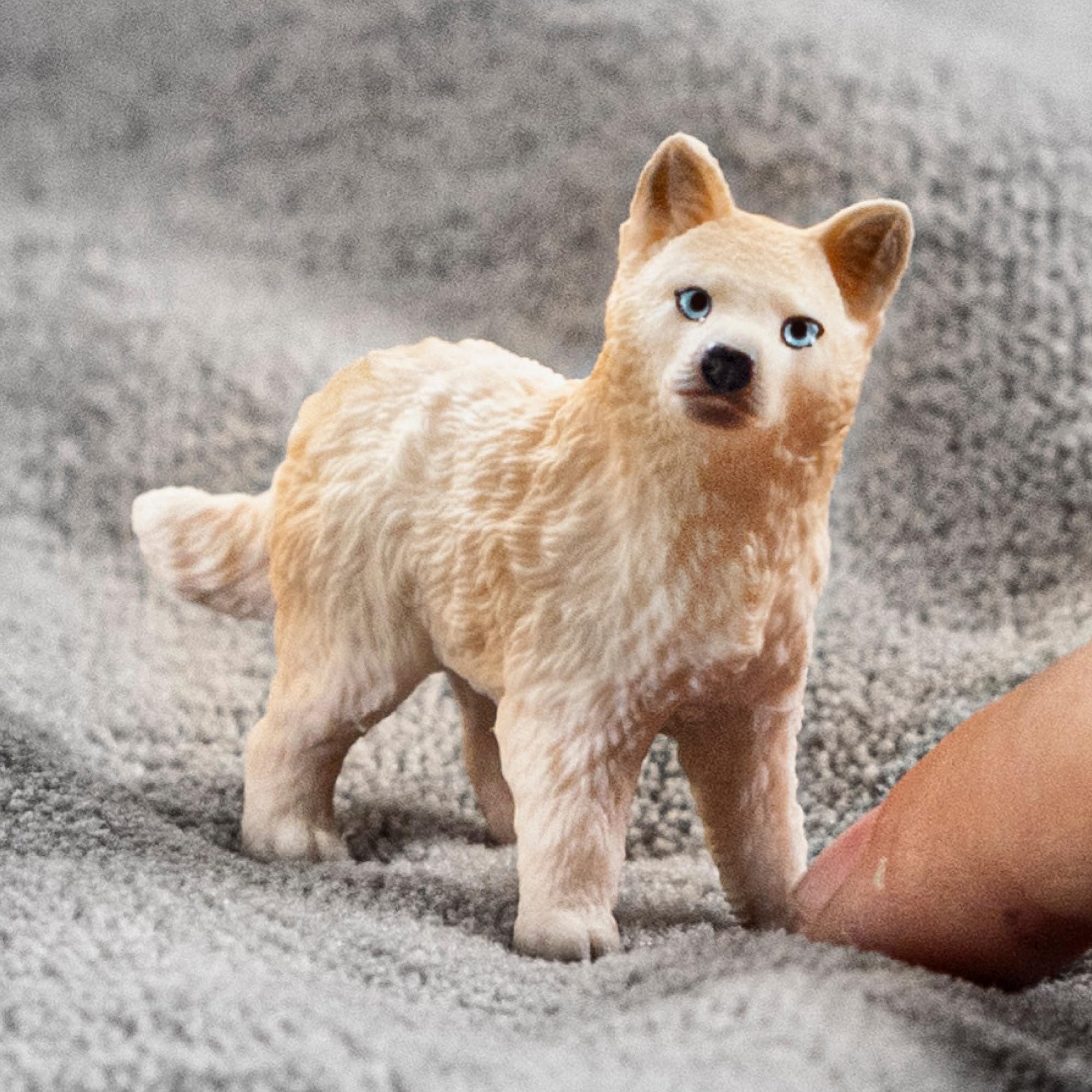 Amazon.com: Schleich Wild Life - 2