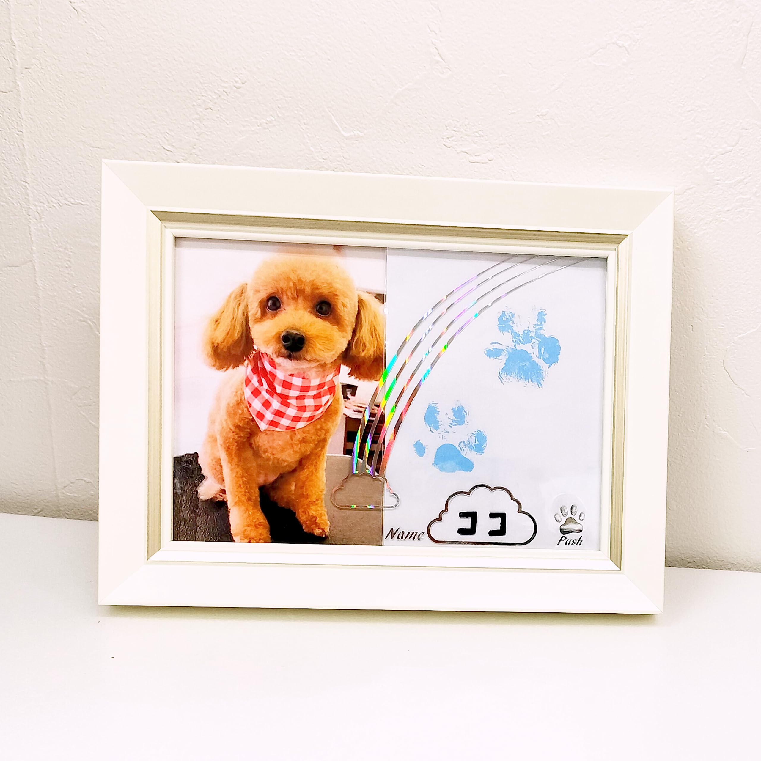 Amazon | ペット用（犬猫）写真立て 虹 うちのコの声と肉球フォト