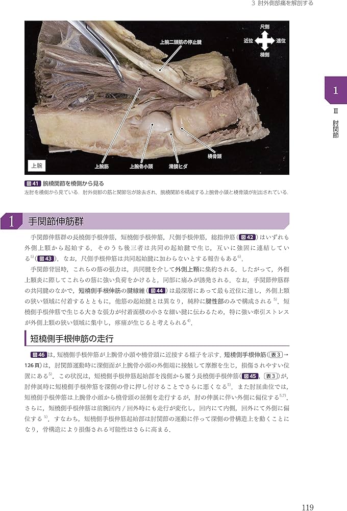 運動療法その前に! 運動器の臨床解剖アトラス | 北村清一郎, 工藤