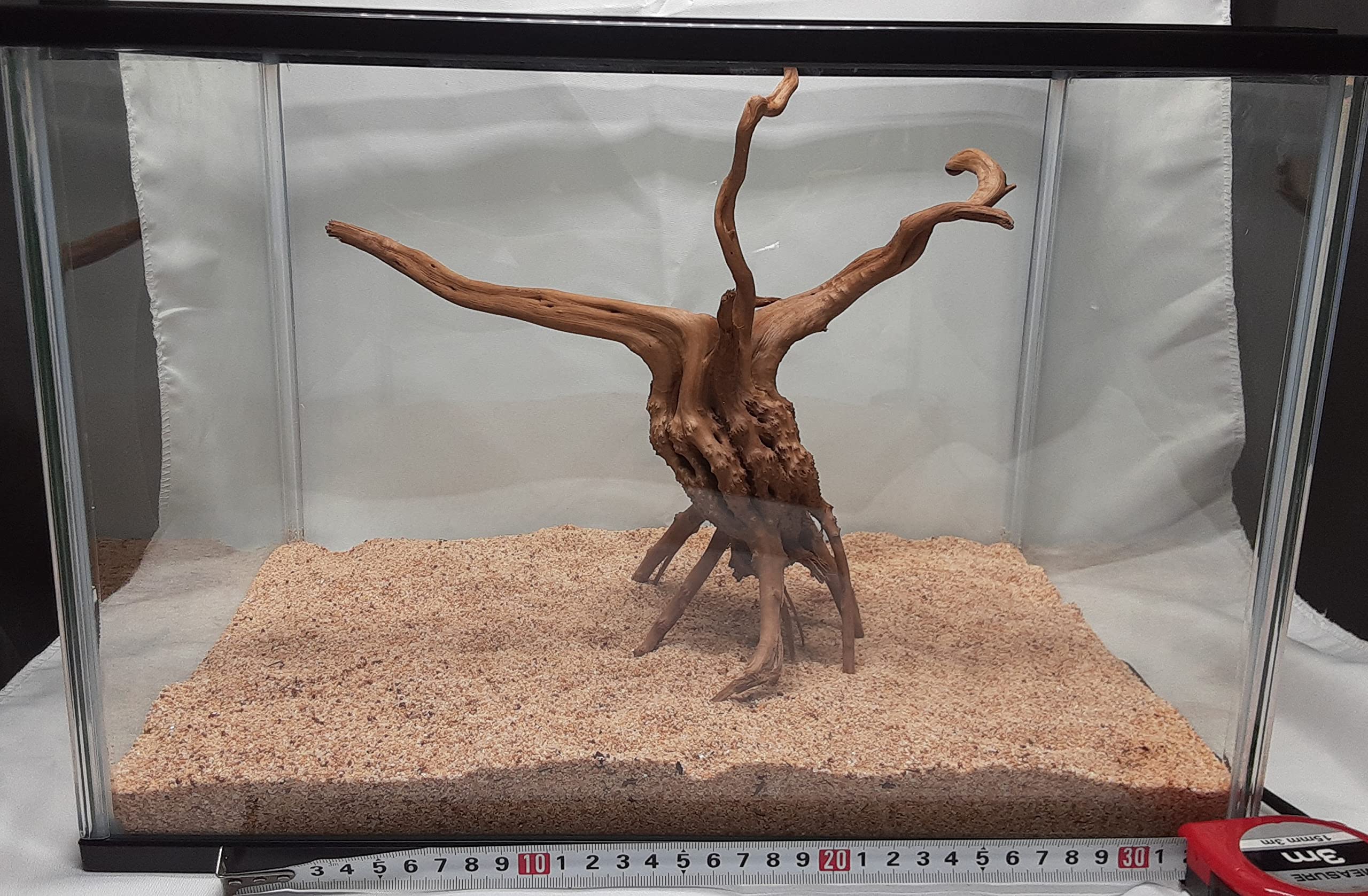 Amazon.co.jp: 【煮込み済み】25～30cm流木 1個 45～90cm