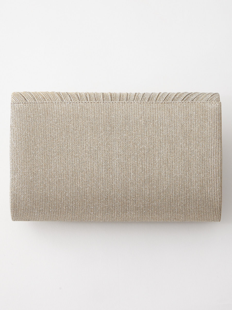 ラメプリーツバッグ＆袱紗セット(FREE シルバー): AIMER | エメ