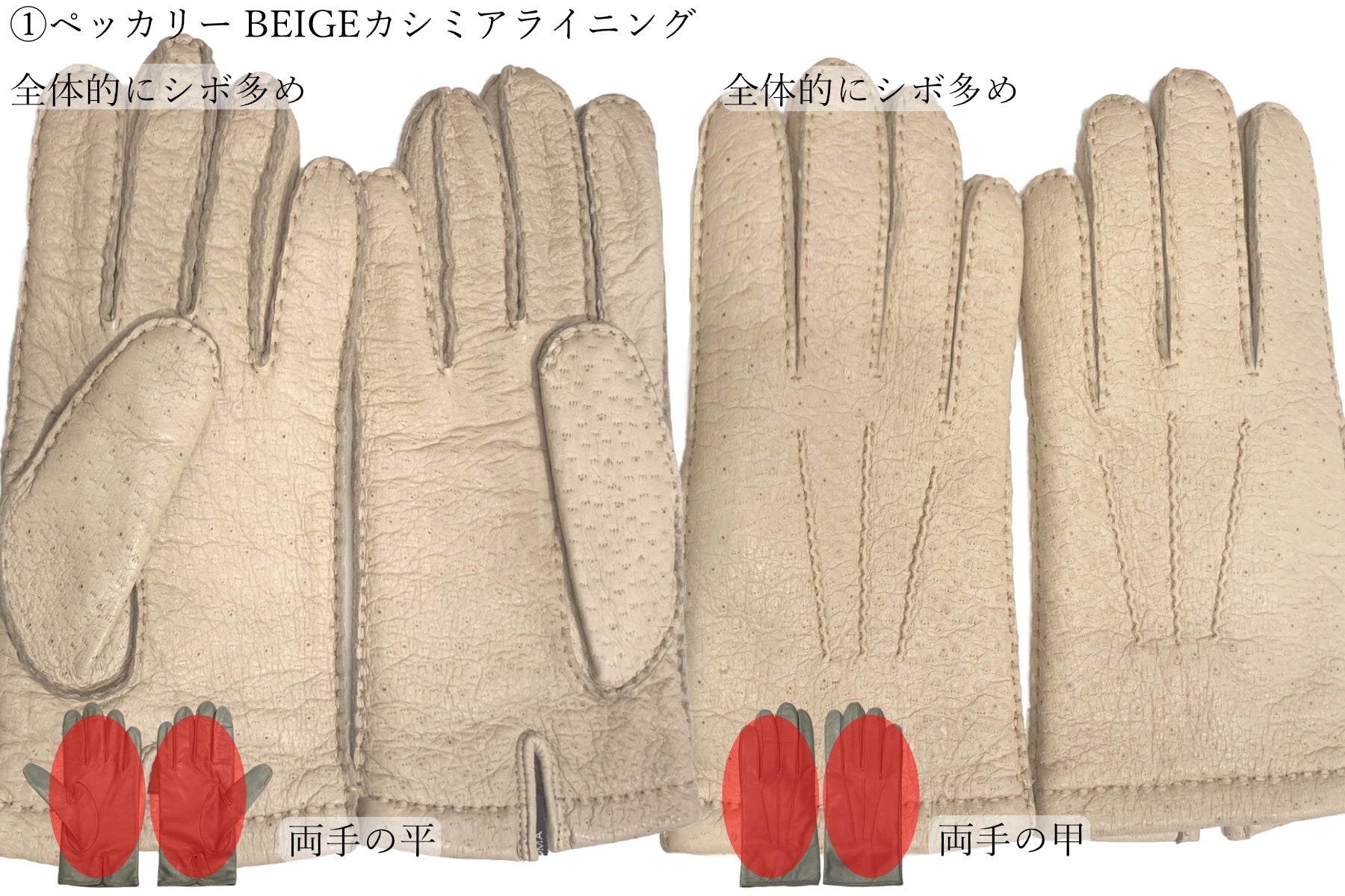 20~30％ OFF/ Cグレード 】メローラ メンズ手袋◇サイズ 7.5 (S) – Merola