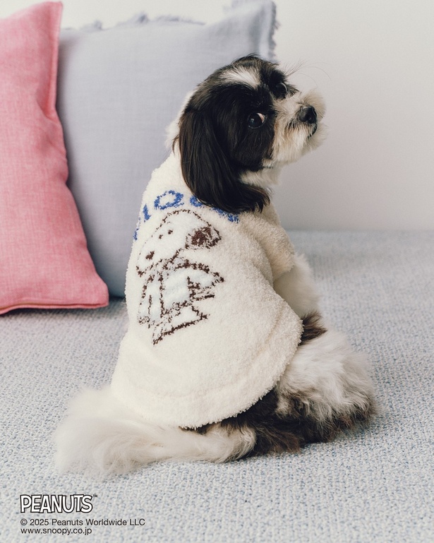 ジェラート ピケから“子犬スヌーピー”デザインが初登場！家族全員で