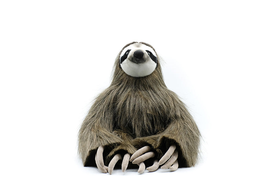 なまけもの. – niiiwa