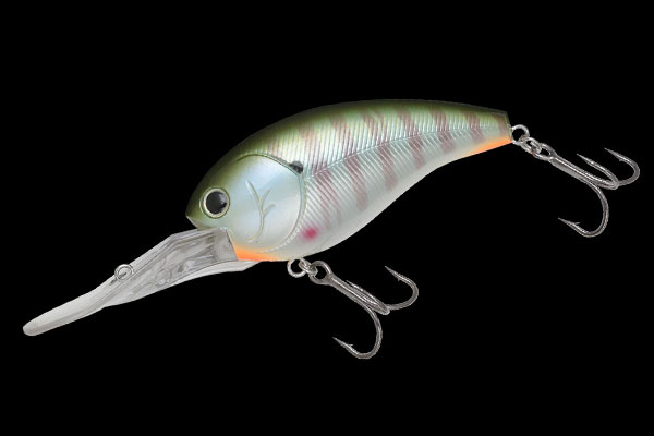 FUKA BAIT | BASS | NORIES