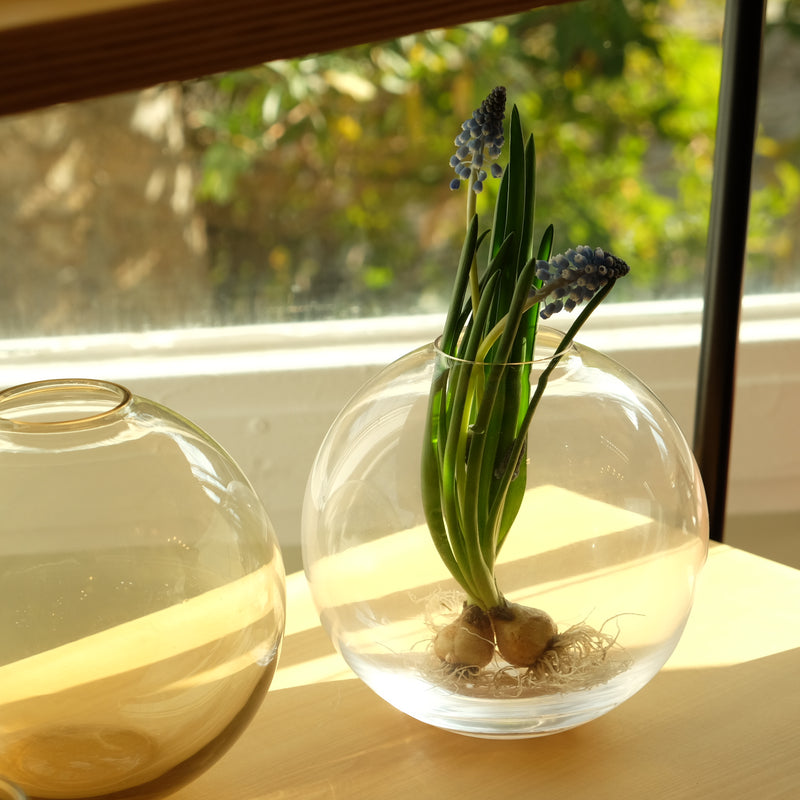 Sghr スガハラ フィオラ フラワーベース（S） 花瓶 クリアー – Osmund