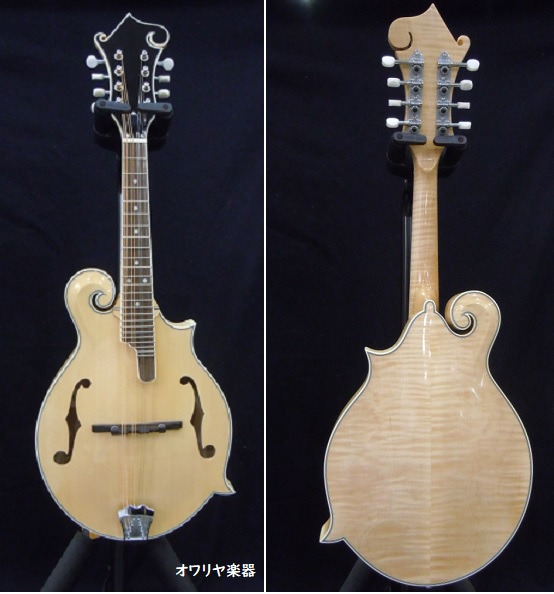 フラットマンドリン・ハードケースセット 総単板虎杢入りナチュラル