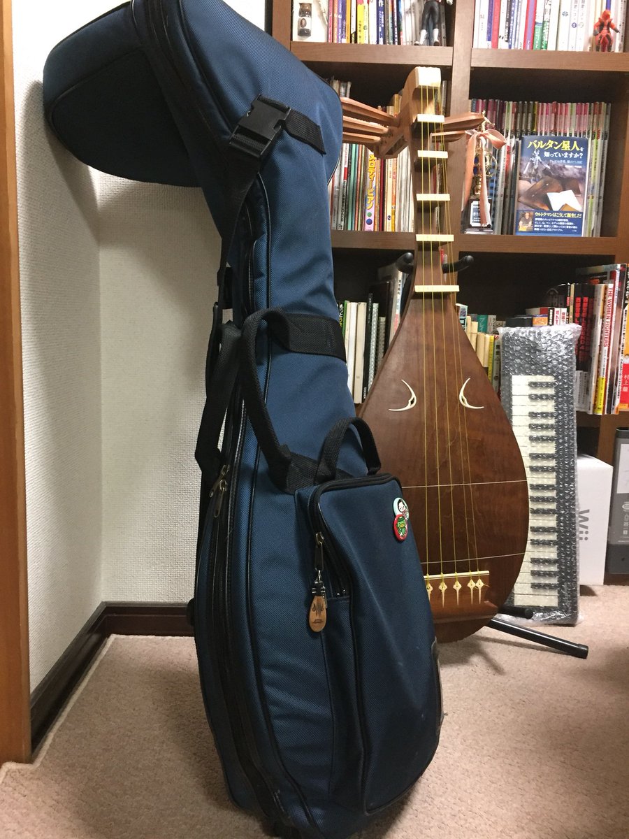 琵琶のソフトケース。 担ぐと重いです。 場所取ります。 街で見かけ