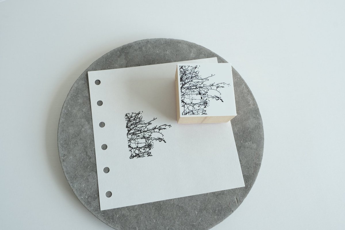 ヨハク (@______yohaku) / Posts / X