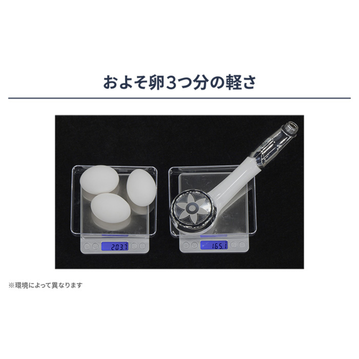 ナノフェミラスビューティー 全身美容シャワーヘッド ナノフェミラス