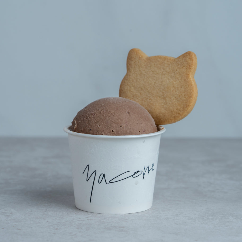 BASIC BOX 人気の定番アイスクリーム4種（6個セット） | 猫屋町