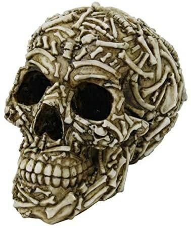 楽天市場】【大人気】【ダルトン】スティアヘッド（ステアーヘッド