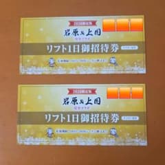 ☆新品・未使用☆上越国際スキー場 岩原スキー場 リフト券 2枚セット