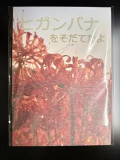 2026年最新】お疲れ様本 リコリスリコイルの人気アイテム - メルカリ