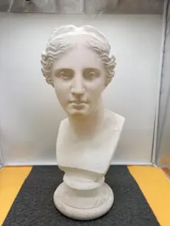 2026年最新】石膏像 ヴィーナスの人気アイテム - メルカリ