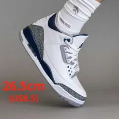 2026年最新】nike air jordan 3 retro 