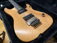2026年最新】washburn エレキギターの人気アイテム - メルカリ