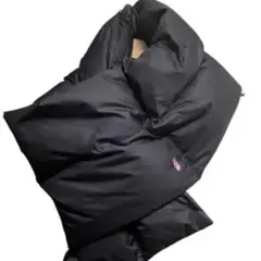 2026年最新】ダウンマフラー ノースフェイスパープルレーベルの人気