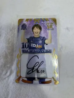 2026年最新】オンサイトカード サンフレッチェ広島の人気アイテム