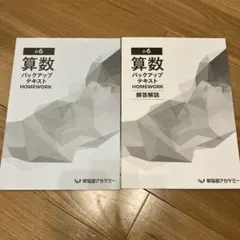 2026年最新】早稲田アカデミー 小6 バックアップテキストの人気