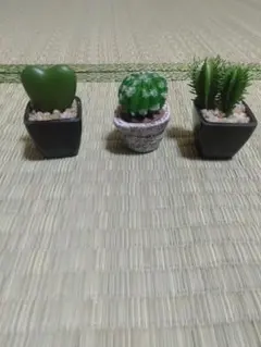 2026年最新】塊根植物 フィギュアの人気アイテム - メルカリ