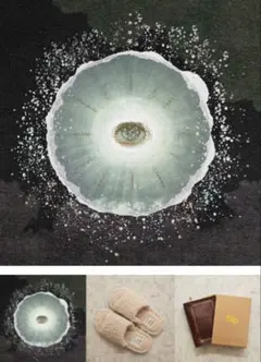 2026年最新】siip 完全生産限定の人気アイテム - メルカリ