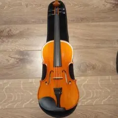 2026年最新】EASTMAN vl80 4/4の人気アイテム - メルカリ