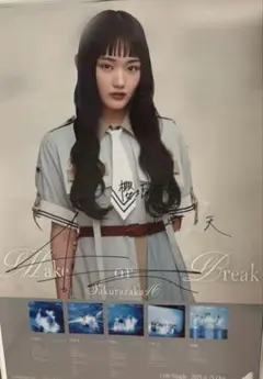 2026年最新】櫻坂 サイン ポスターの人気アイテム - メルカリ