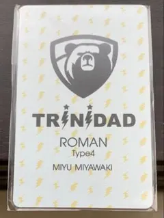 2026年最新】TRiNiDAD アイテム：ダーツライブカード ダーツの人気