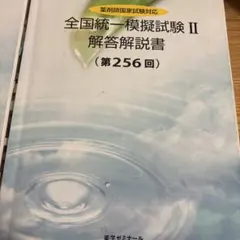 2026年最新】薬ゼミ模試の人気アイテム - メルカリ