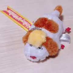 2026年最新】ジブリパーク ヒン ぬいぐるみの人気アイテム - メルカリ