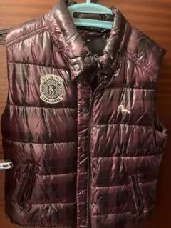 2026年最新】evisu ダウンベストの人気アイテム - メルカリ