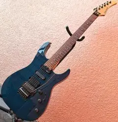 2026年最新】fernandes サスティナーの人気アイテム - メルカリ