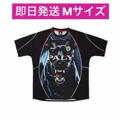 2026年最新】PALACE jerseyの人気アイテム - メルカリ