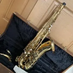 2026年最新】ミネルバ サックスの人気アイテム - メルカリ