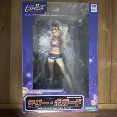 2026年最新】SNK美少女 テリー・ボガード ​—SNKヒロインズ Tag Team